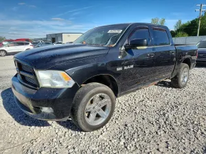 Dodge RAM 5.7L 8 2010