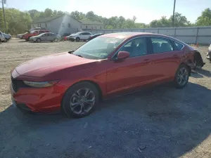 Honda Accord 1.5L 4 2024