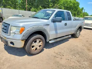 Ford F-150 4.6L 8 2009