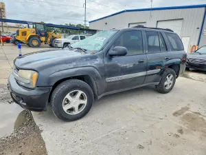 Chevrolet Trailblazer 4.2L 6 2004