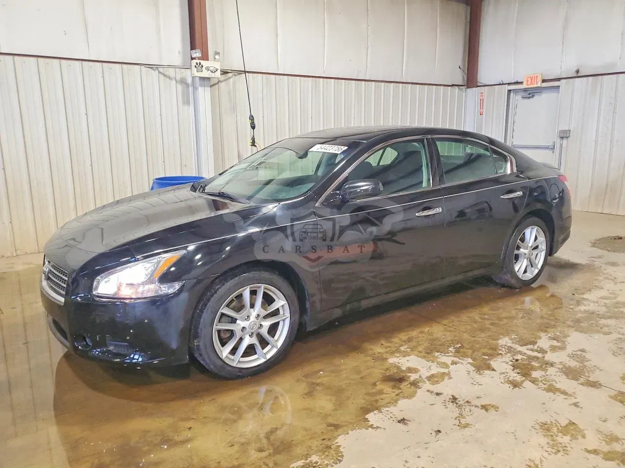 Nissan Maxima 3.5L 6 2009