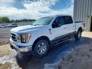 Ford F-150 5.0L 8 2021