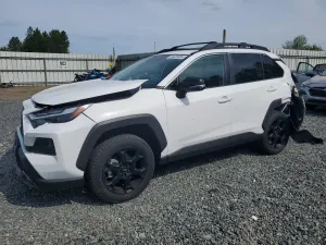 Toyota Rav4 2.5L 4 2024