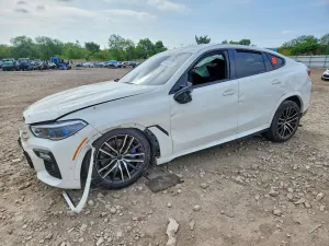 BMW X6 4.4L 8 2021