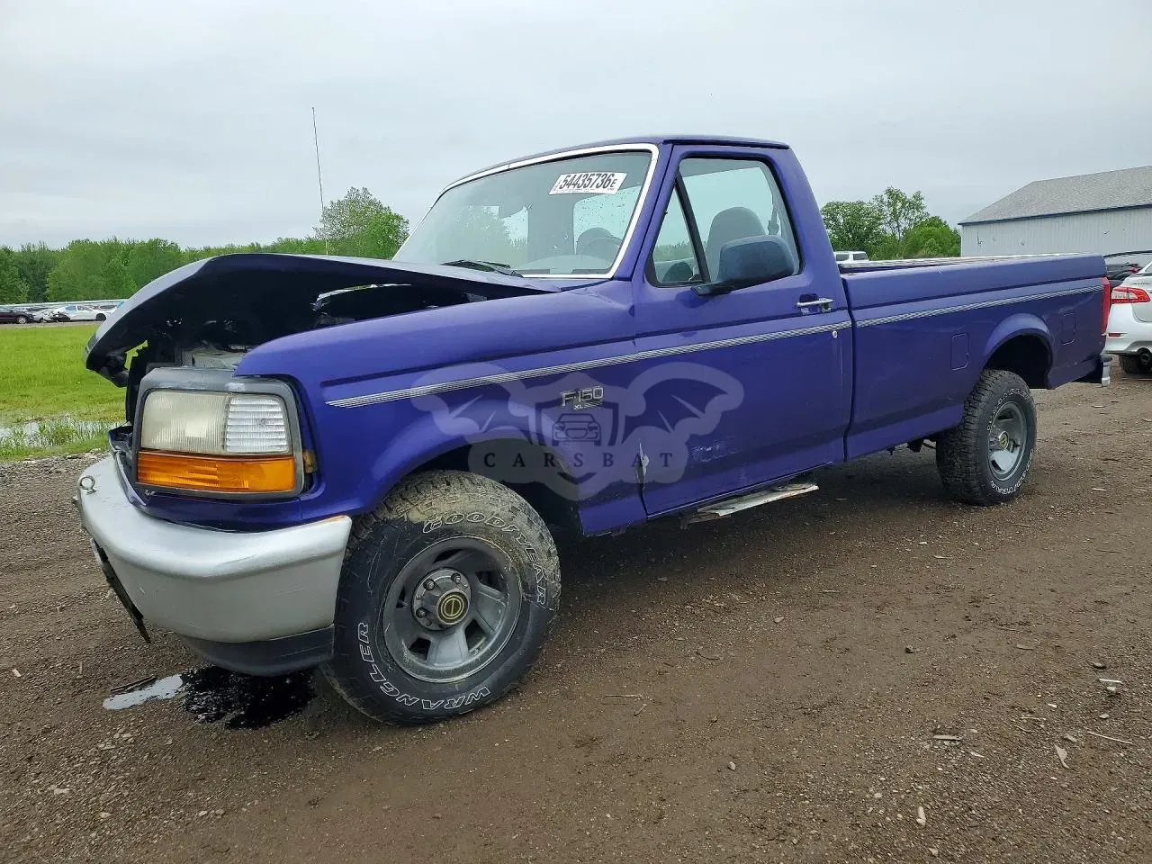 Ford F-150 5.0L 8 1995