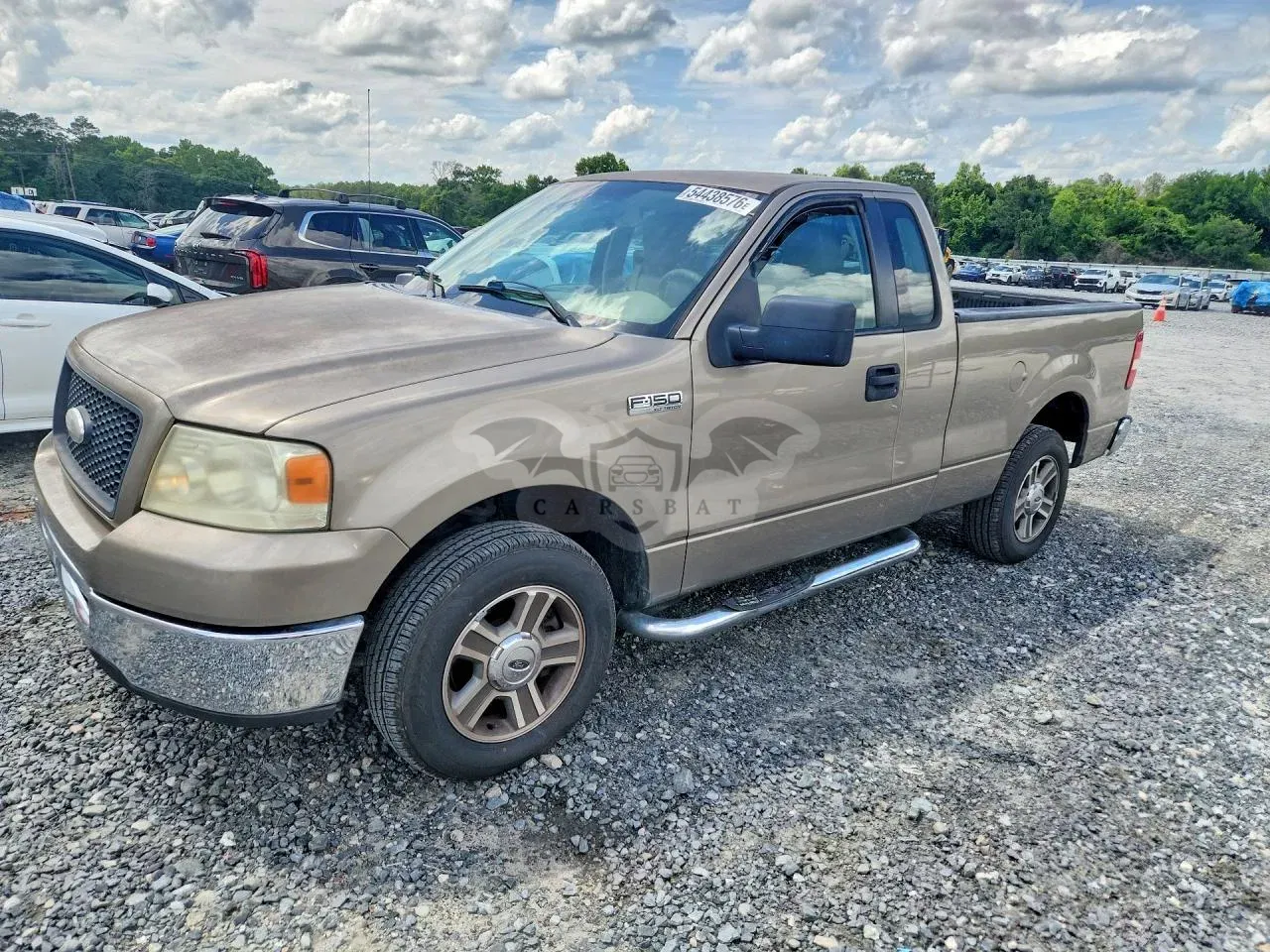 Ford F-150 4.6L 8 2006