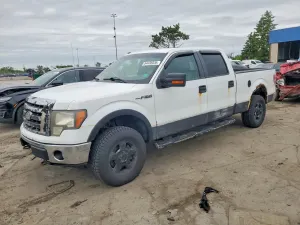 Ford F-150 4.6L 8 2010