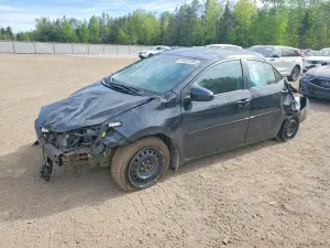 Toyota Corolla 1.8L 4 2019