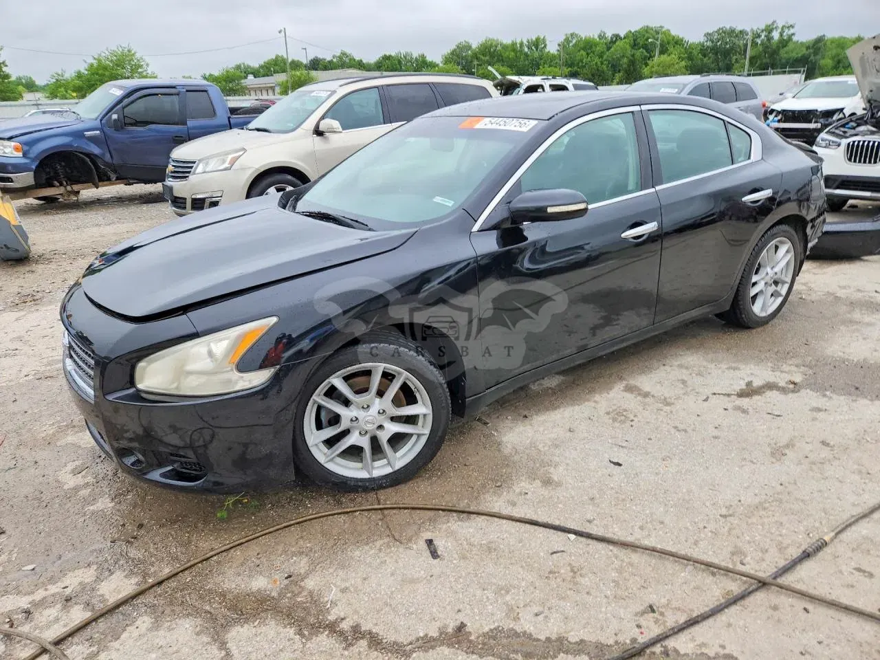 Nissan Maxima 3.5L 6 2010