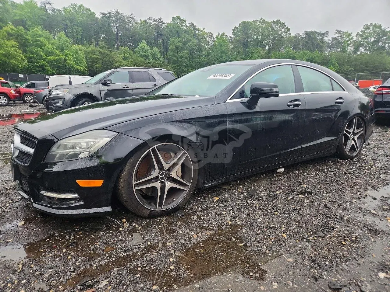 Mercedes-Benz CLS 4.6L 8 2013
