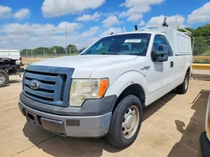 Ford F-150 4.6L 8 2010