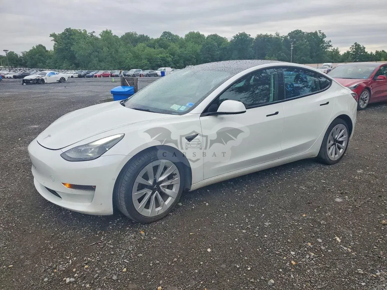 Tesla Model 3 2022