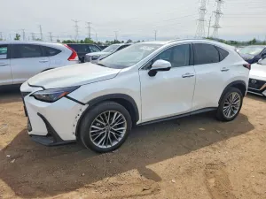 Lexus NX 2.4L 4 2025