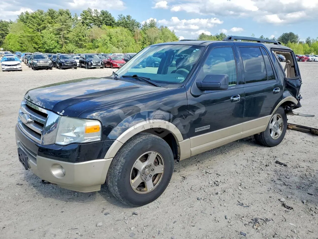 Ford Expedition 5.4L 8 2007