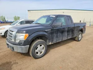 Ford F-150 4.6L 8 2010