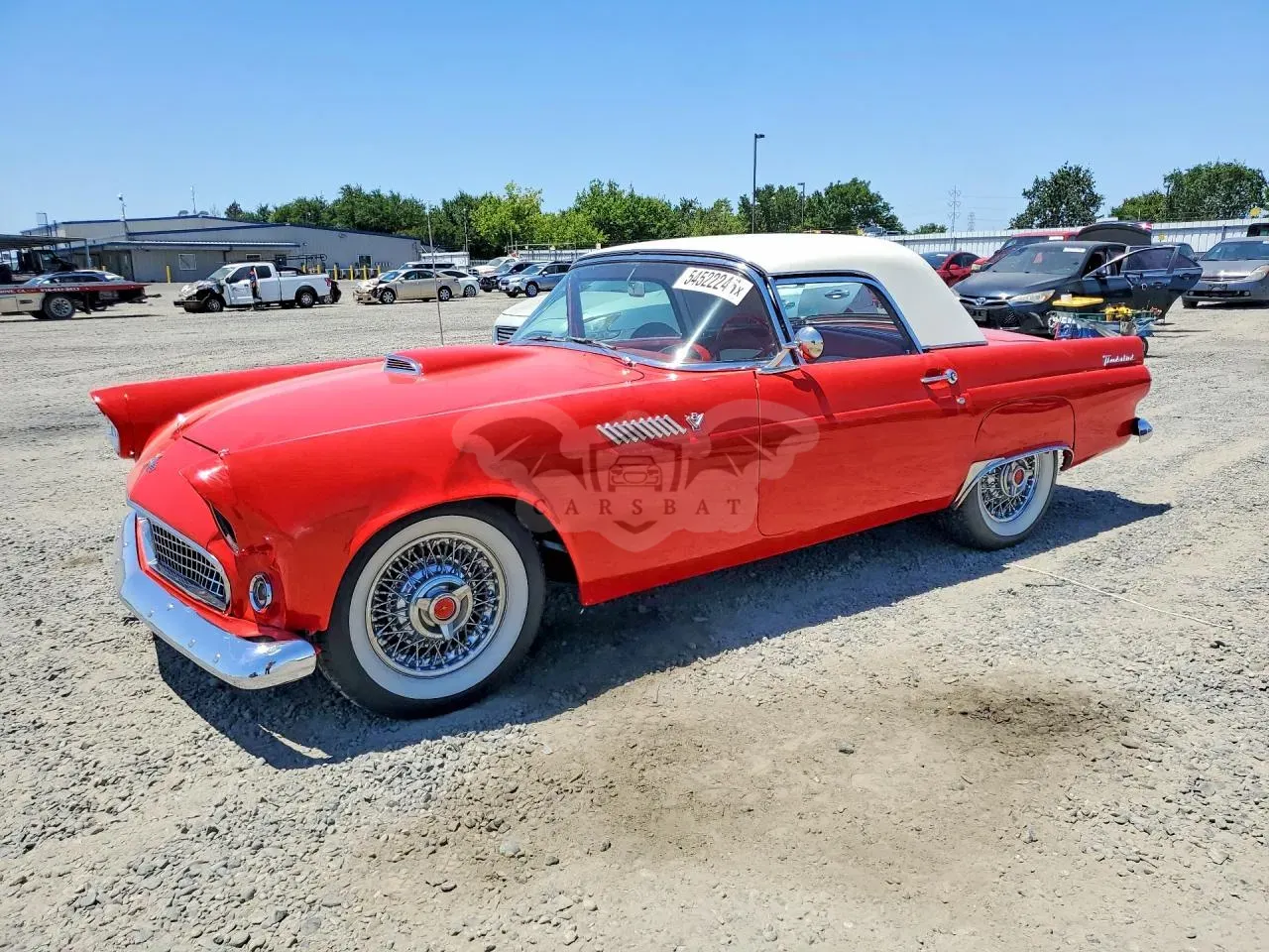 Ford Thunderbird 1955