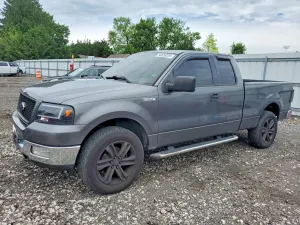 Ford F-150 4.6L 8 2004