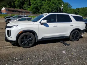 Hyundai Palisade 3.8L 6 2023