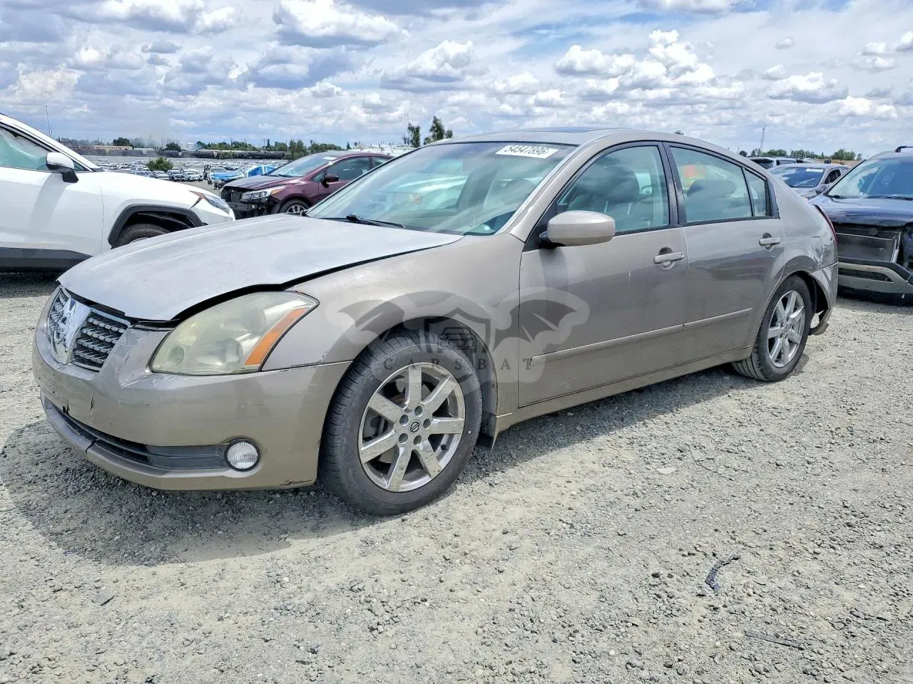 Nissan Maxima 3.5L 6 2006