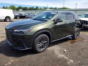 Lexus NX 2.4L 4 2022