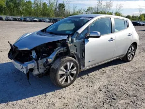 Nissan Leaf 0.0L 0 2017