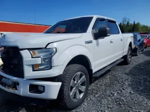 Ford F-150 5.0L 8 2015