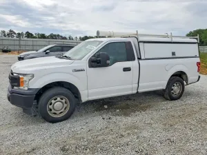 Ford F-150 5.0L 8 2019
