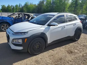 Hyundai Kona 2.0L 4 2019