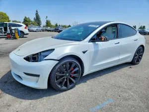 Tesla Model 3 2019
