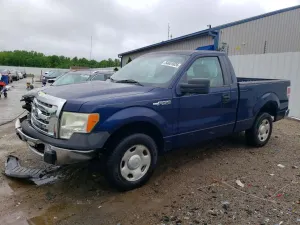 Ford F-150 4.6L 8 2009