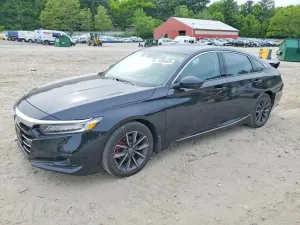 Honda Accord 1.5L 4 2022