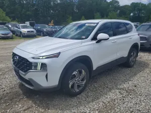 Hyundai Santa Fe 2.5L 4 2022