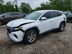Hyundai Tucson 2.5L 4 2022