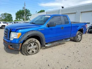 Ford F-150 4.6L 8 2010