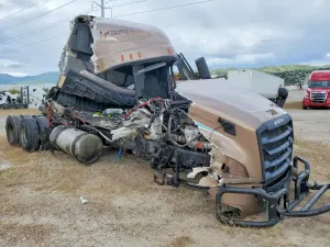 Freightliner Cascadia 14.8L 6 2021