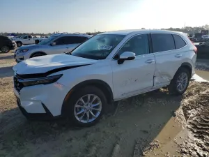 Honda CR-V 1.5L 4 2025