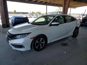 Honda Civic 2.0L 4 2019