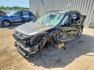 Toyota Rav4 2.5L 4 2022