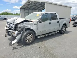 Ford F-150 5.4L 8 2008
