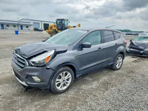 Ford Escape 1.5L 4 2019
