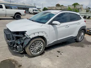 Hyundai Kona 2.0L 4 2019