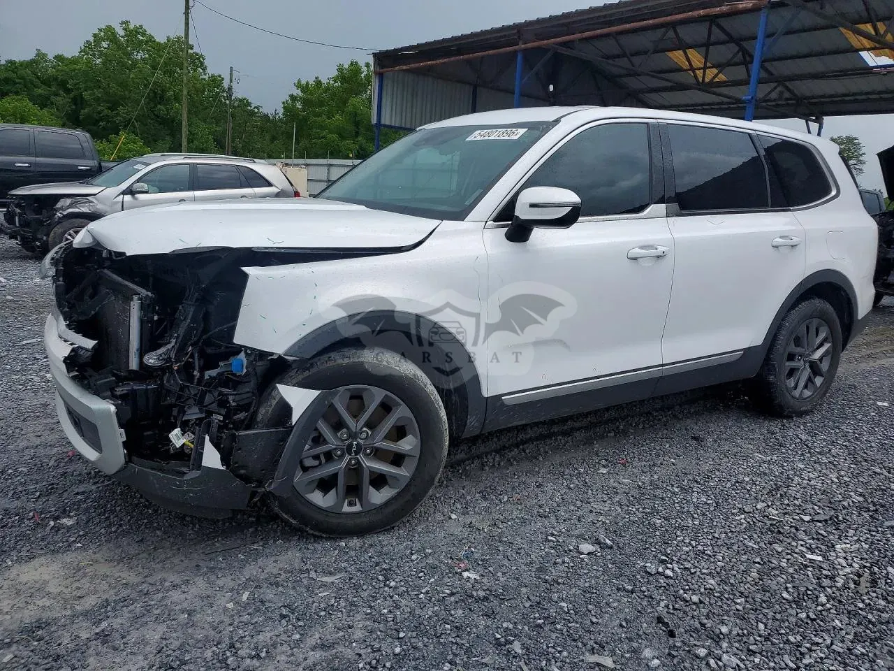 Kia Telluride 3.8L 6 2024