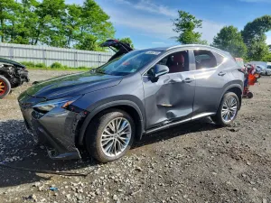 Lexus NX 2.4L 4 2025