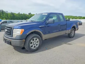 Ford F-150 4.6L 8 2009