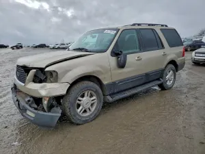 Ford Expedition 5.4L 8 2005