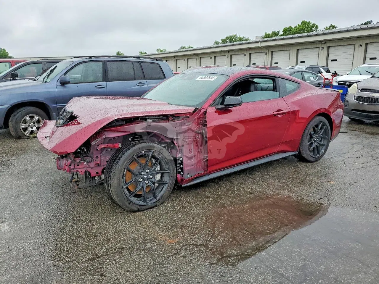 Ford Mustang 5.0L 8 2025