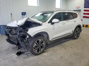 Hyundai Santa Fe 2.0L 4 2019