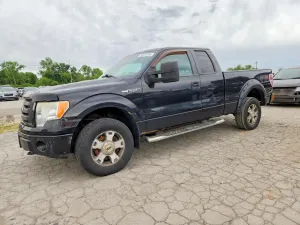 Ford F-150 4.6L 8 2010