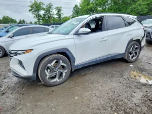 Hyundai Tucson 2.5L 4 2024