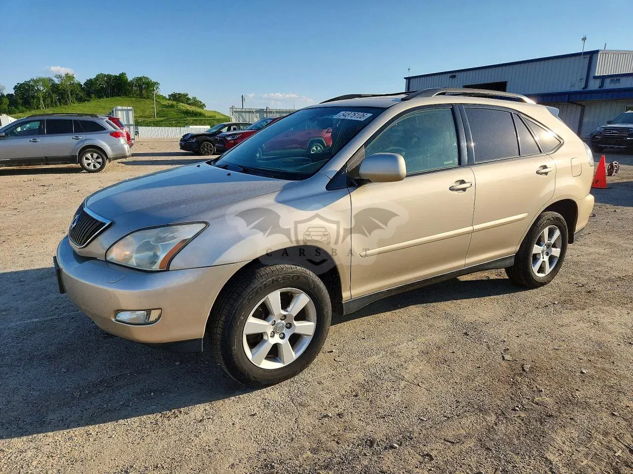 Lexus RX 3.3L 6 2004